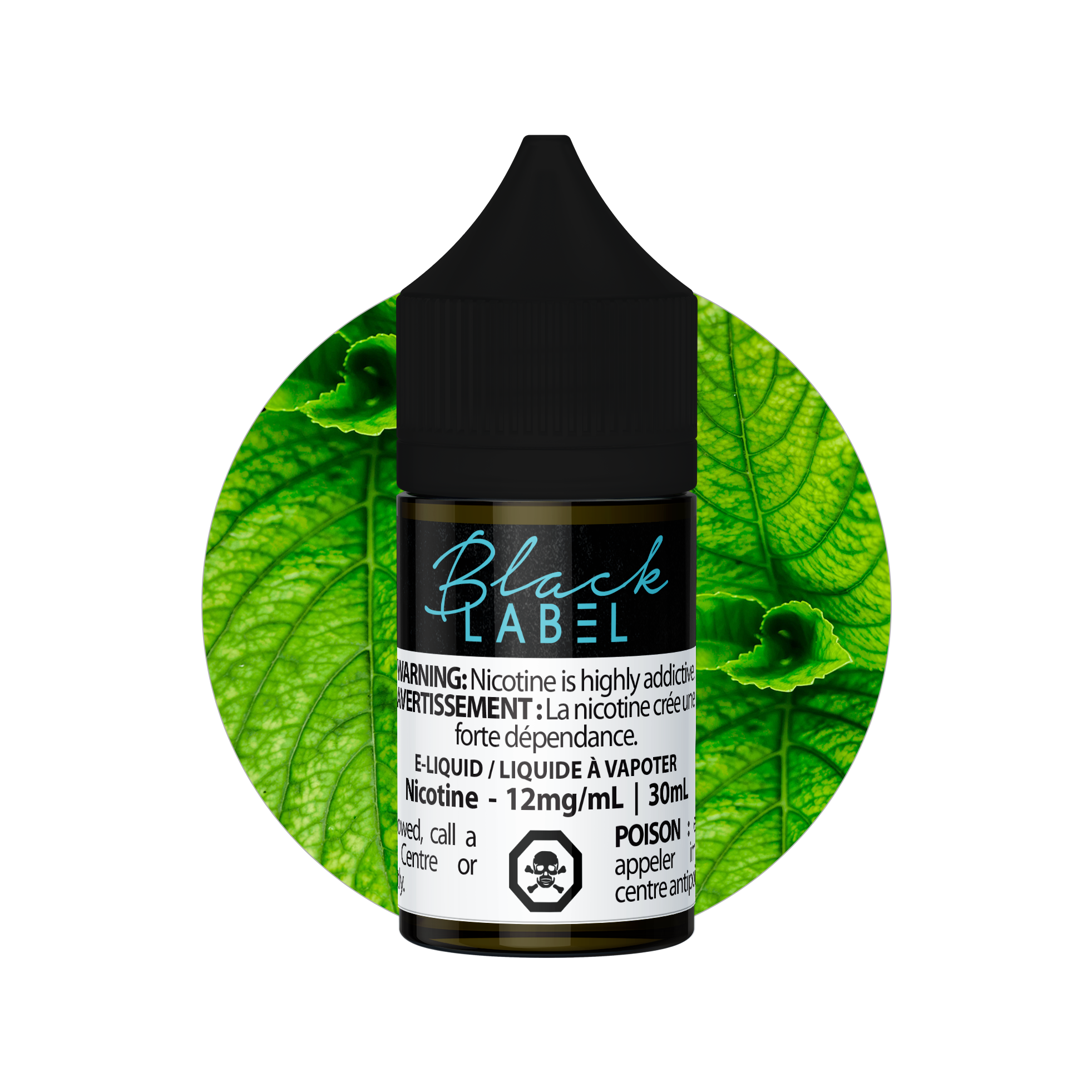 Fresh Mint (500 ML)